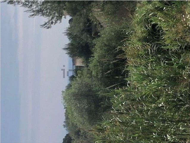 Terreno en venta en Urbanització La Fustera-Els Carrions, la Marina Alta