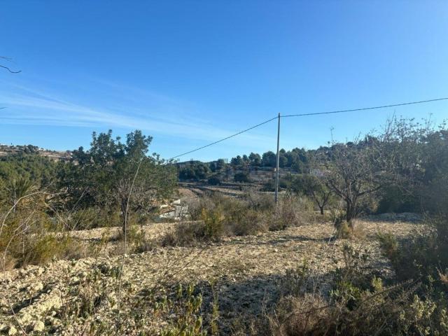 Terreno en venta en la Marina Alta, Valencia