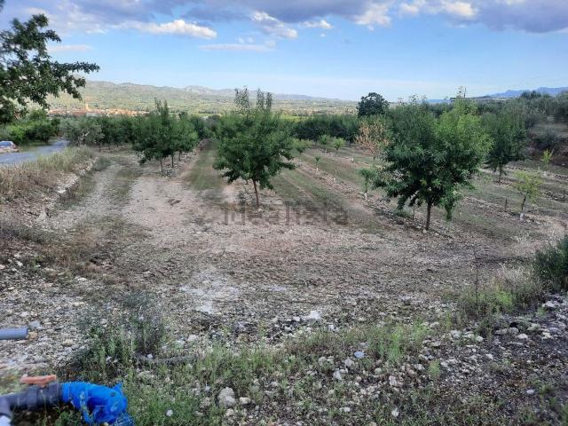 Terreno en venta en Ribera d'Ebre, Catalunya