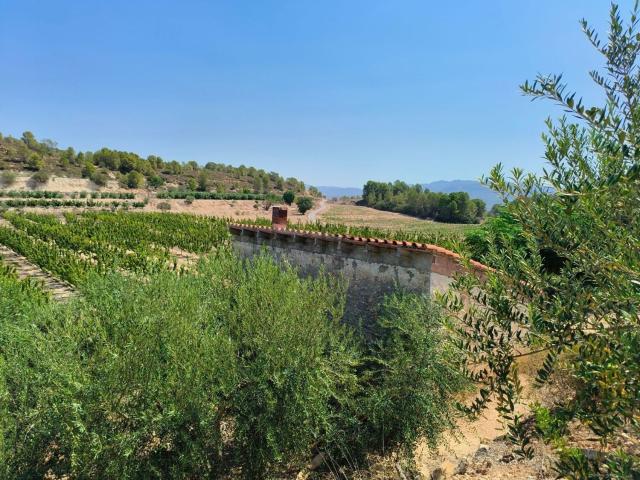 Terreno en venta en Ribera d'Ebre, Catalunya
