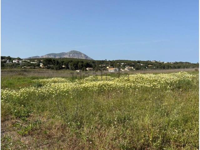 Terreno en venta en la Marina Alta, Valencia