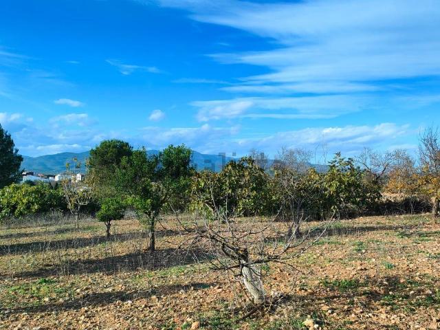 Terreno en venta en la Plana Alta, Valencia