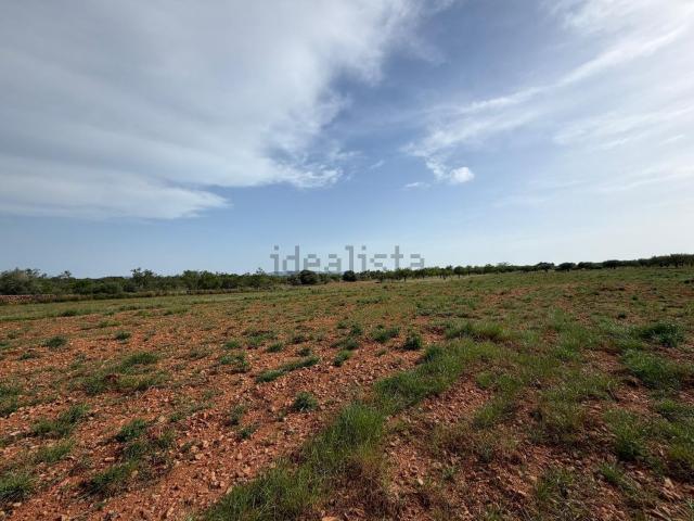 Terreno en venta en la Plana Alta, Valencia