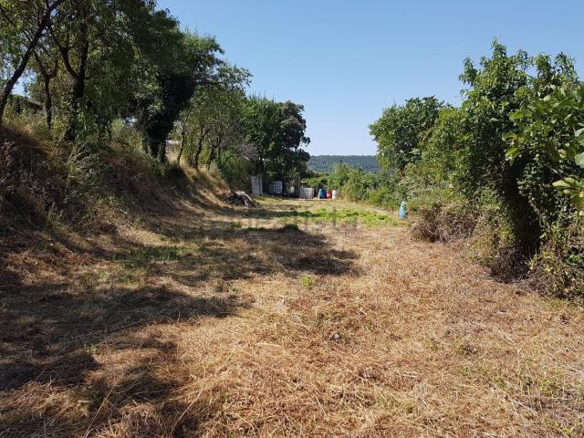 Terreno en venta en Berguedà, Catalunya