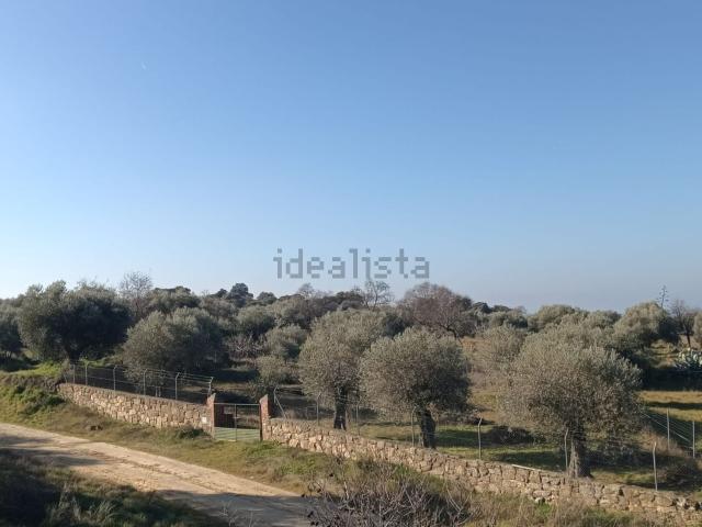 Terreno en venta en Berrocalejo, Extremadura