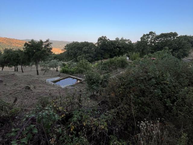 Terreno en venta en Berzocana, Extremadura