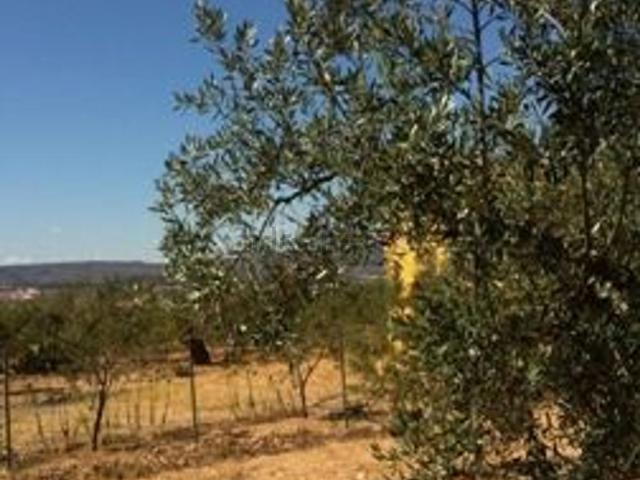 Terreno en venta en l'Alt Vinalopó / El Alto Vinalopó, Valencia