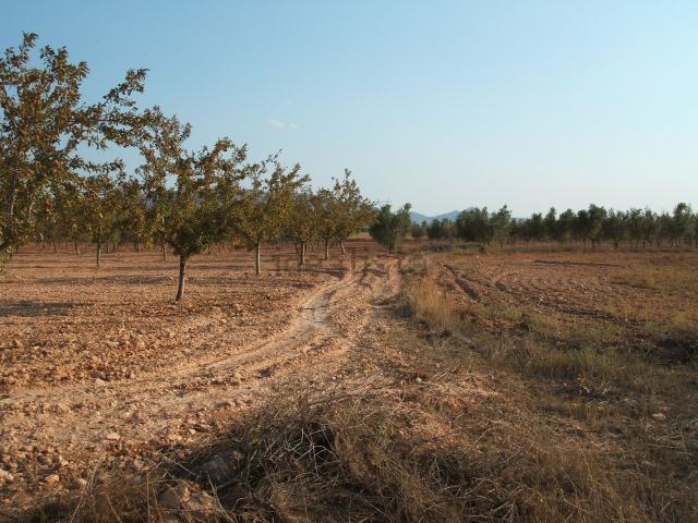 Terreno en venta en l'Alt Vinalopó / El Alto Vinalopó, Valencia