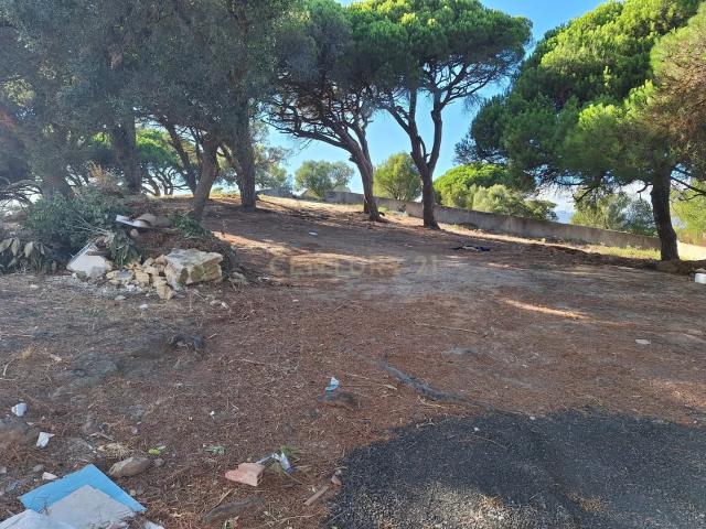 Terreno venda em Alcabideche