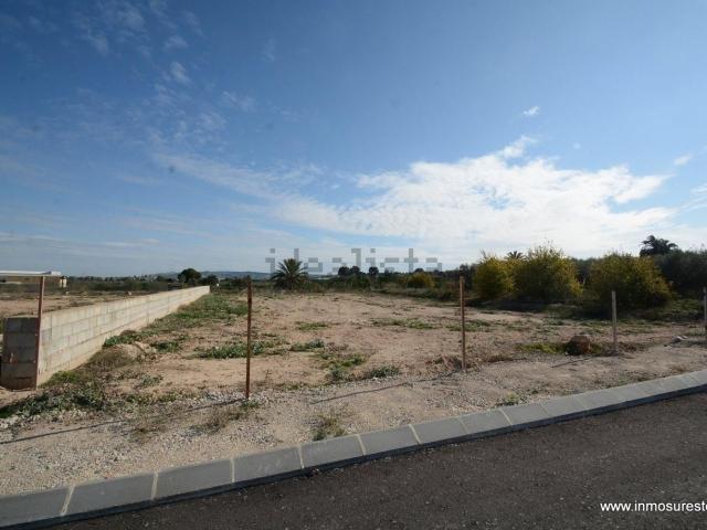 Terreno en venta en el Baix Segura / La Vega Baja, Valencia