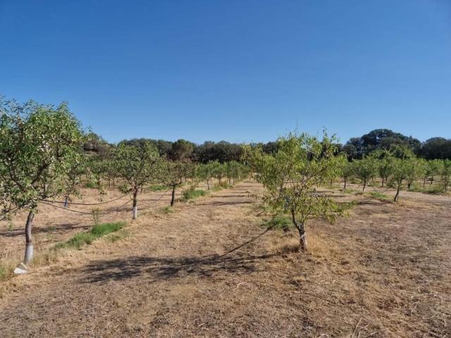 Terreno en venta en Cinca Medio, Aragón