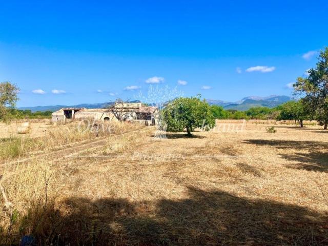 Terreno en venta en Raiguer, Baleares