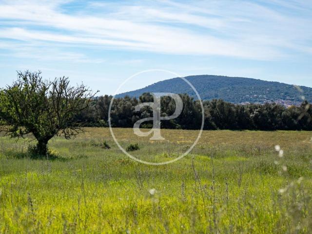 Terreno en venta en Raiguer, Baleares
