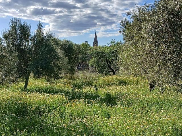 Terreno en venta en Raiguer, Baleares