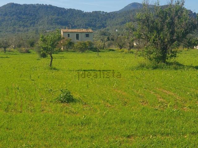 Terreno en venta en Raiguer, Baleares