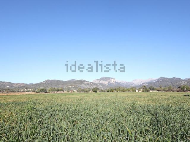 Terreno en venta en Raiguer, Baleares