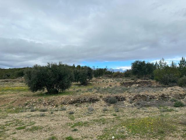 Terreno en venta en Alt Empordà, Catalunya