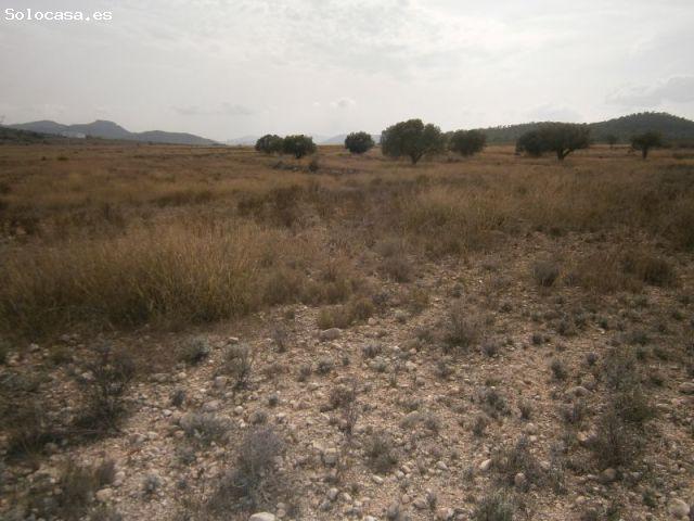 Local Comercial en venta en Piedrasblancas, Castrillón