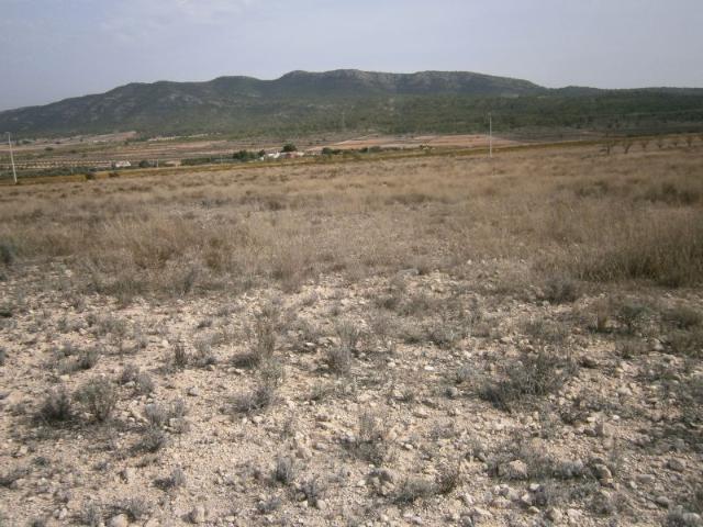Terreno en venta en Cecilia Bartolomé (Mujeres Libres), l'Alt Vinalopó / El Alto Vinalopó
