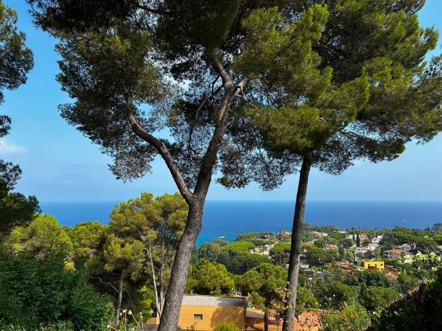 Terreno en venta en Cala Sant Francesc, la Selva