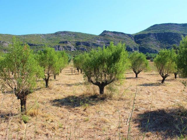 Terreno en venta en Alt Empordà, Catalunya