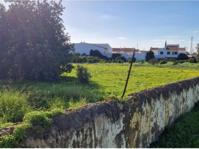 Terreno venda em Vale de Silves, Tunes
