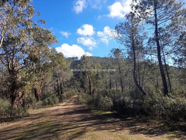 Terreno en venta en Bohonal De Ibor, Extremadura