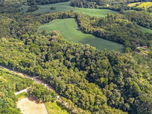 Terreno venda em Ferraria, Campo Largo