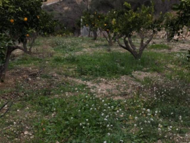Terreno en venta en la Marina Baixa, Valencia