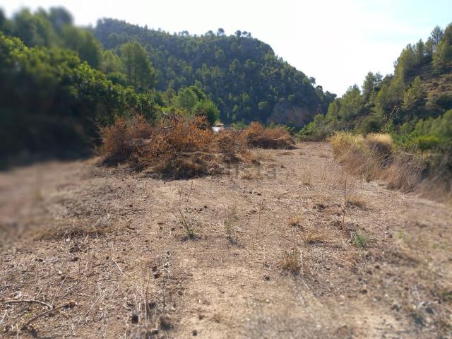 Terreno en venta en Bolulla, Alacant / Alicante