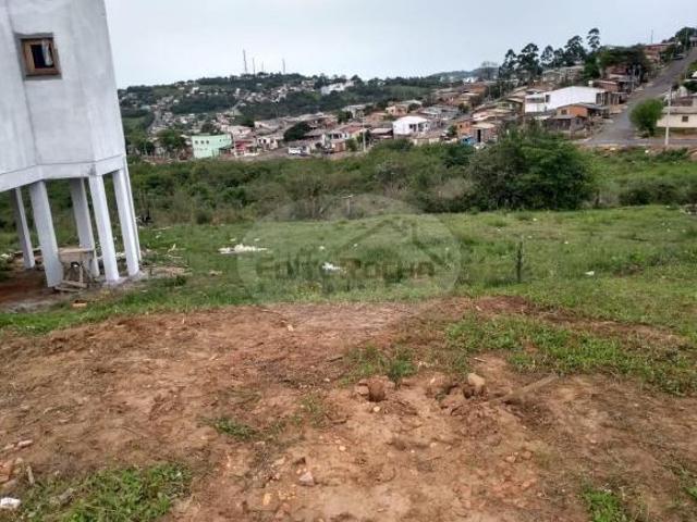Terreno venda em Pitangueiras, Santo Antônio da Patrulha