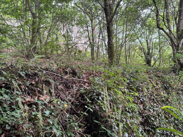 Terreno en venta en Bora, Pontevedra