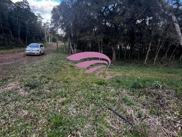 Terreno venda em Região Geográfica Imediata de Curitiba, Região Metropolitana de Curitiba