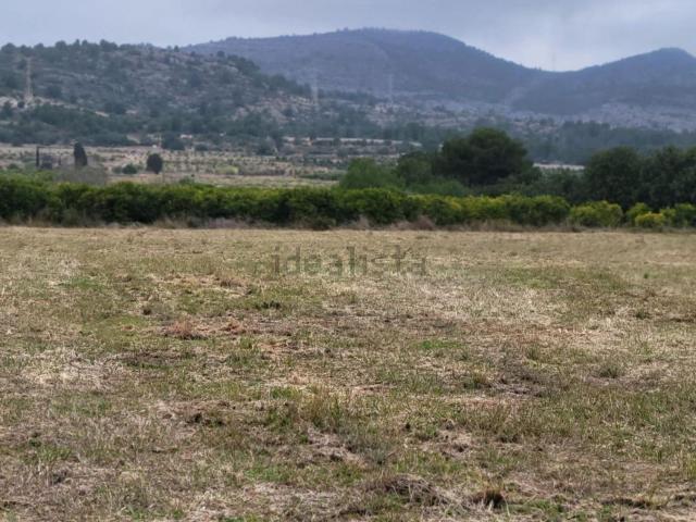 Terreno en venta en el Poble Nou, la Plana Alta