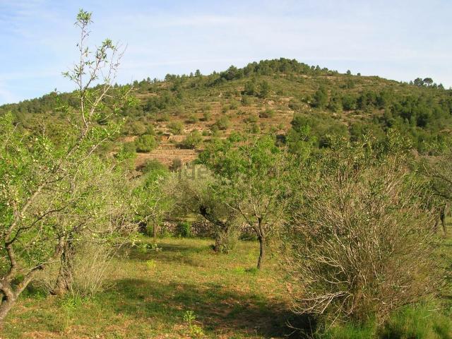 Terreno en venta en la Plana Alta, Valencia