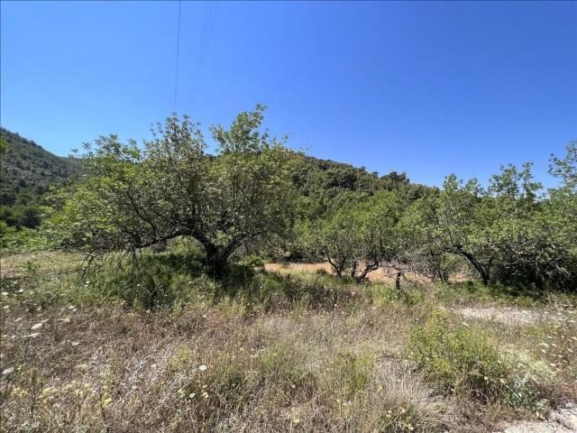 Terreno en venta en el Poble Nou, la Plana Alta