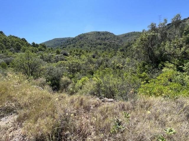 Terreno en venta en Urbanització Vall d'Umbrí, la Plana Alta