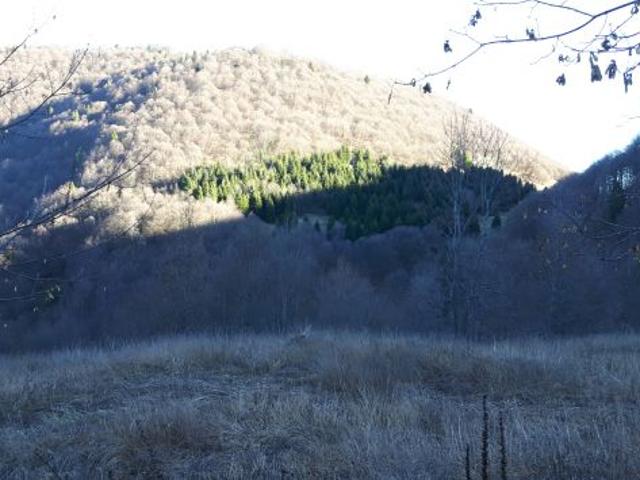 Terreno in vendita a Posina, Veneto
