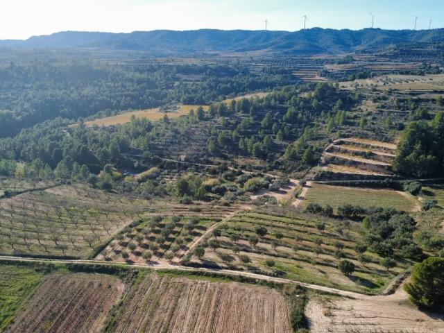 Terreno en venta en Terra Alta, Catalunya