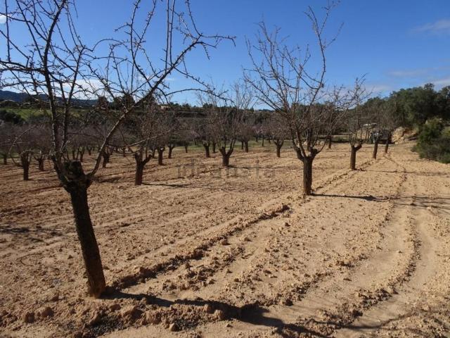 Terreno en venta en Terra Alta, Catalunya