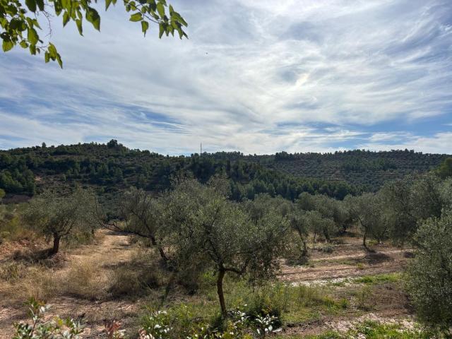 Terreno en venta en Garrigues, Catalunya