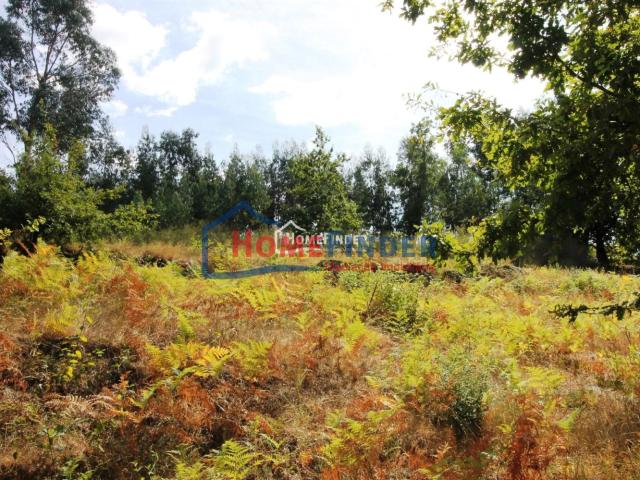 Terreno venda em Póvoa De Lanhoso, Braga