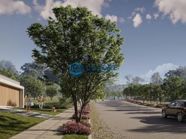 Terreno venda em Região Geográfica Imediata de Caxias do Sul, Caxias do Sul
