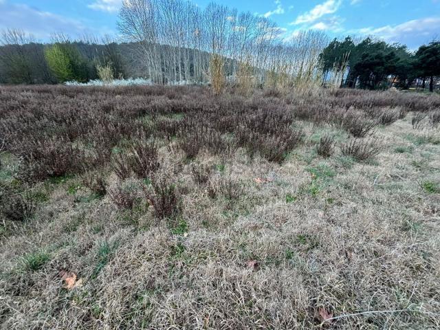 Terreno en venta en la Selva, Catalunya