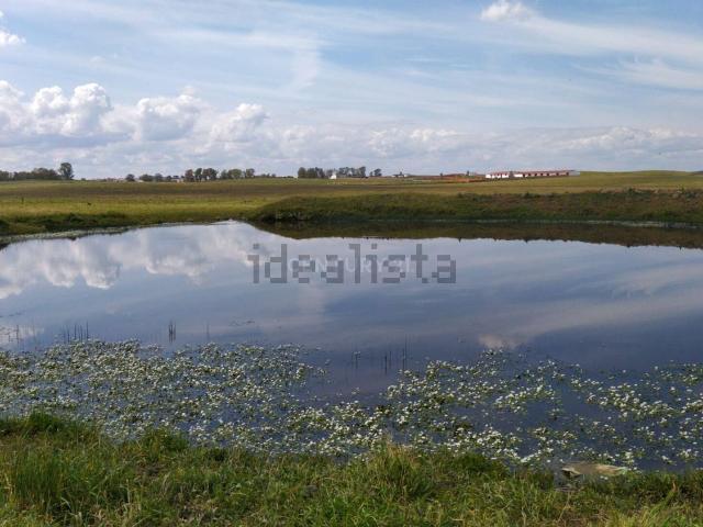 Terreno en venta en Brozas, Extremadura