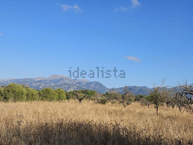Terreno en venta en Es Pujol, Búger