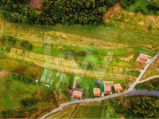 Terreno venda em Parada de Todeia, Paredes