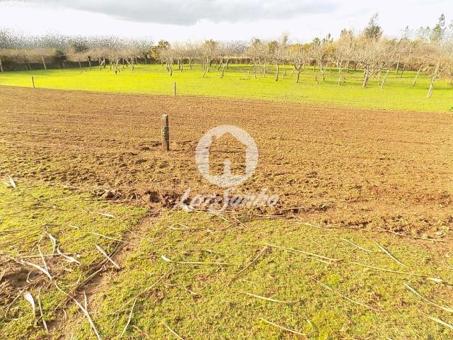 Terreno venda em Rindo, Trofa