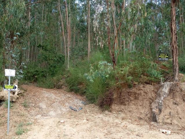 Terreno venda em Rebordões (Souto), Boalhosa