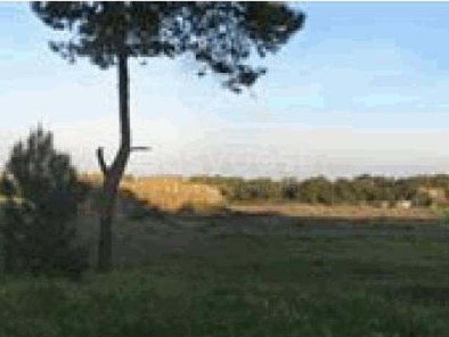 Terreno venda em Cidade Sol, Santo António Da Charneca